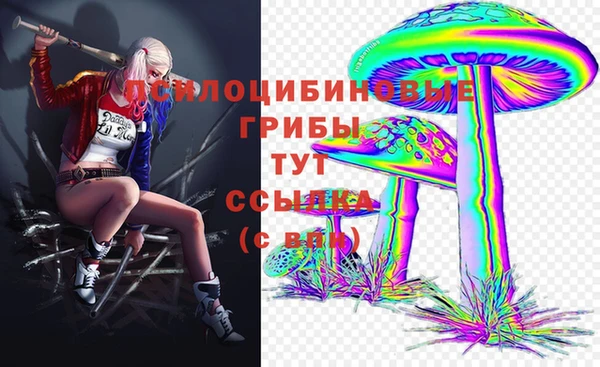 амф Абдулино
